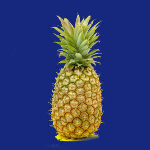 Baby Pineapple